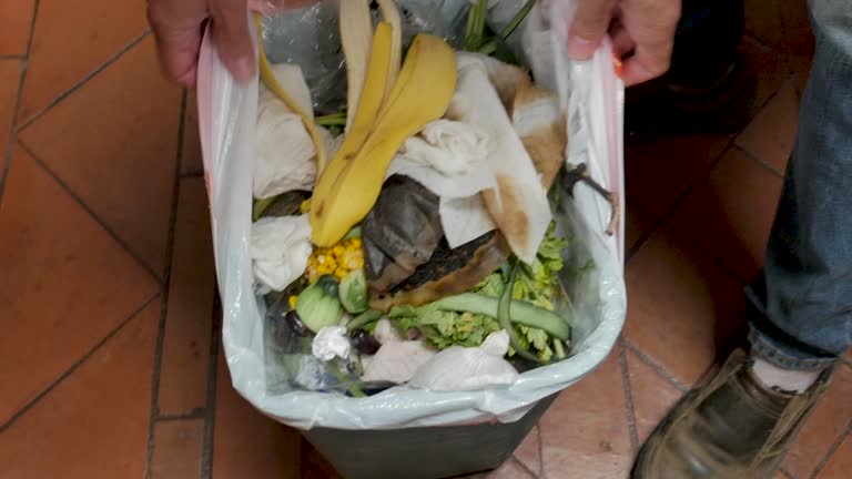 Best Residential Junk Removal  in Nowthen, MN